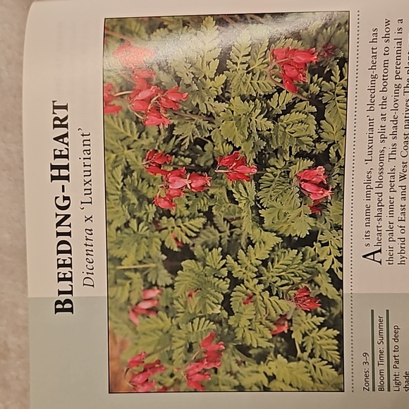 50 Best Perennials for Shade Book "Easy Plants for More Beautiful Gardens" - Picture 4 of 5